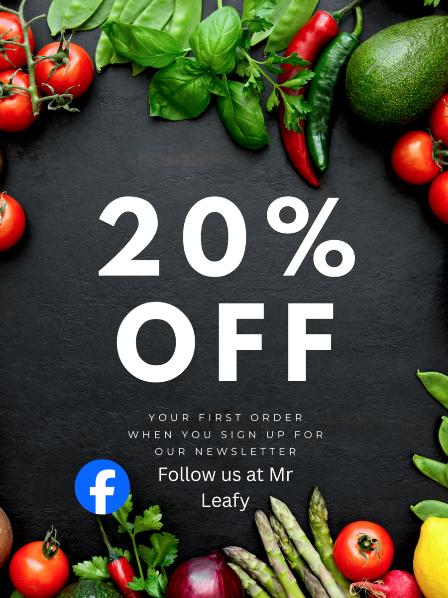 A promotional flyer for Mr. Leafy featuring a 20% off discount.
