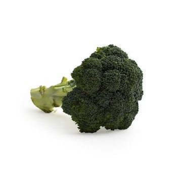 Broccoli, Bunched - Mr. Leafy