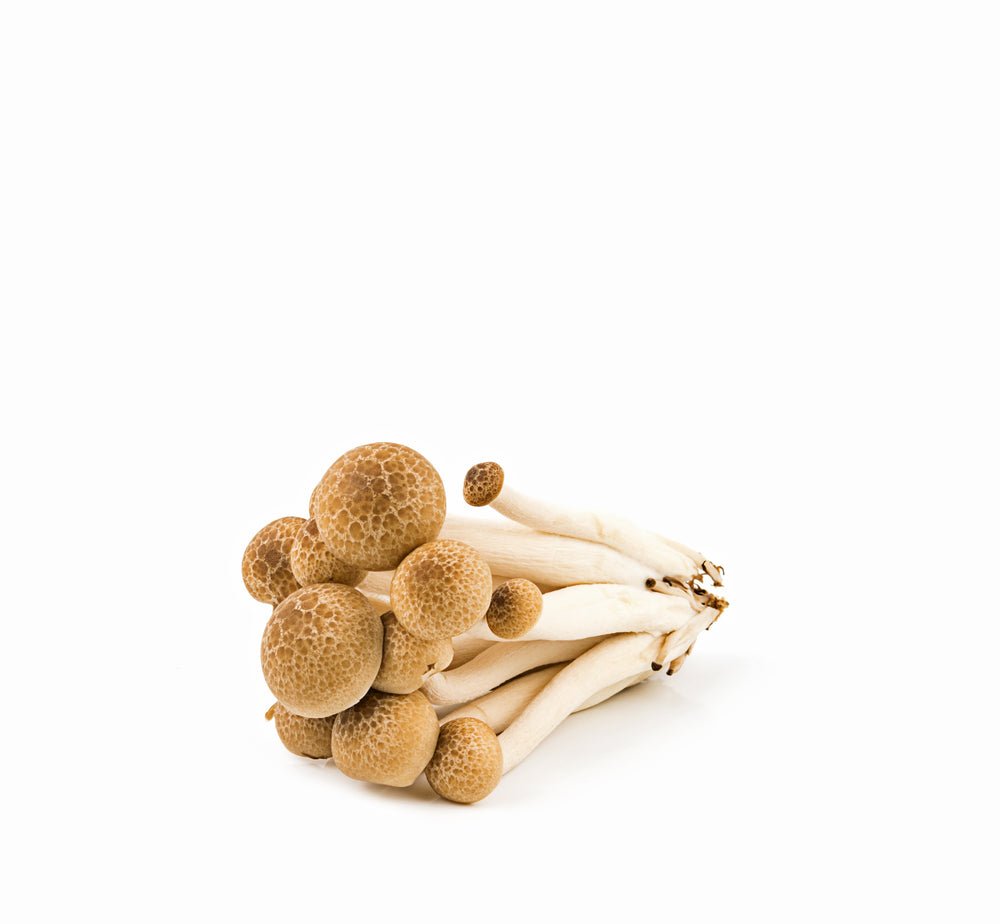 Mushroom, Brown Beech 150g - Mr. Leafy