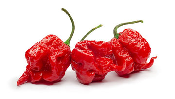 Pepper, Carolina Reaper 1.75oz - Mr. Leafy
