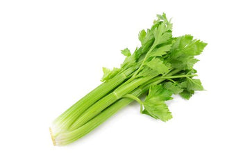 Celery - Mr. Leafy