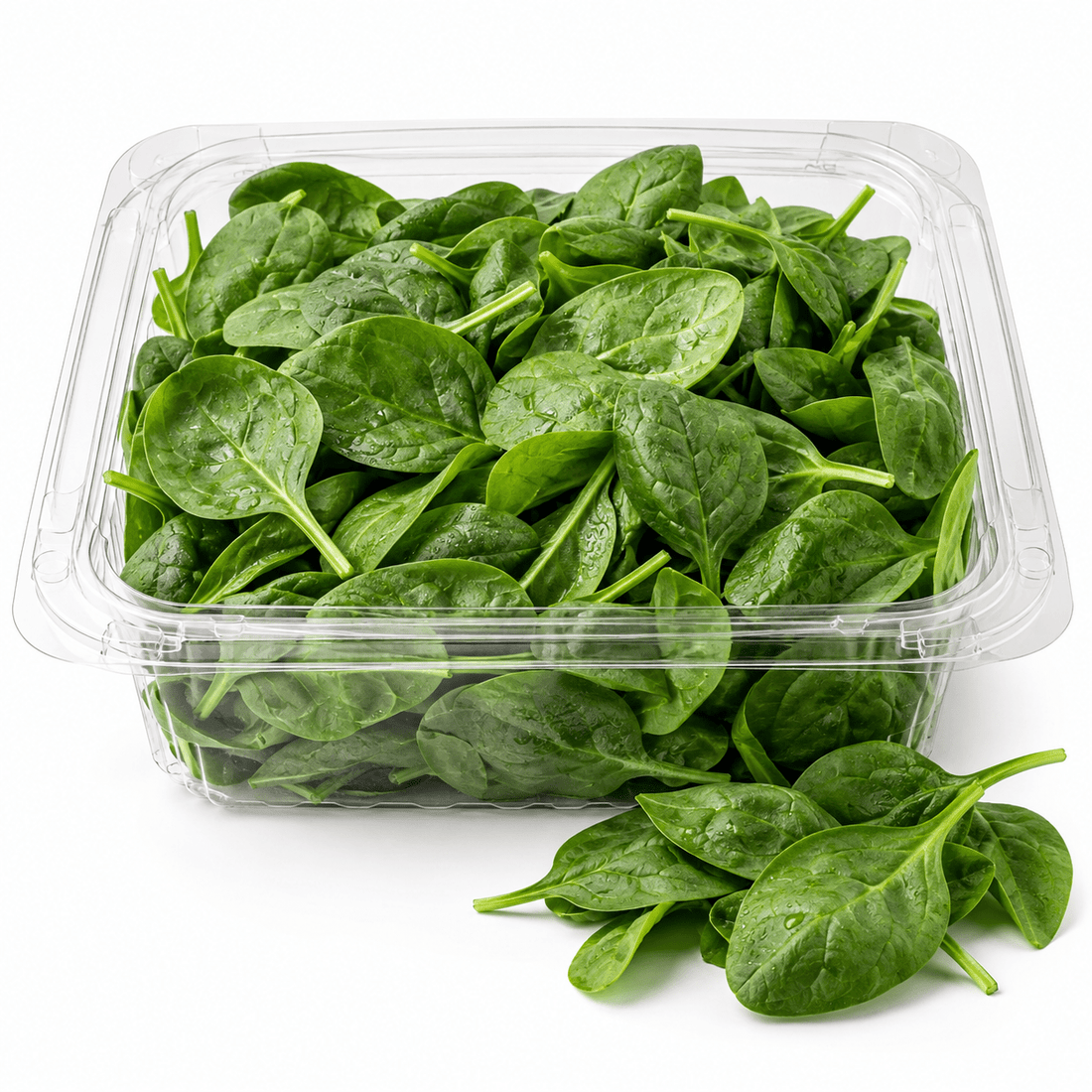 Fresh Organic Spinach – Tender & Leafy, 5 oz Bag - Mr. Leafy