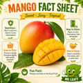 Mango, Tommy/Kent 2pk - Mr. Leafy