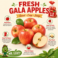 Fresh Gala Apples – Sweet, Crisp & Juicy, 3 lb Bag - Mr. Leafy