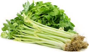 Celery, Chinese 2lb PACK - Mr. Leafy