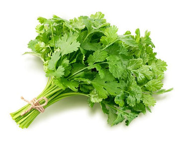Cilantro, (Colliander) BUNCH - Mr. Leafy