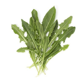 Dandelion, Greens Bunch - Mr. Leafy