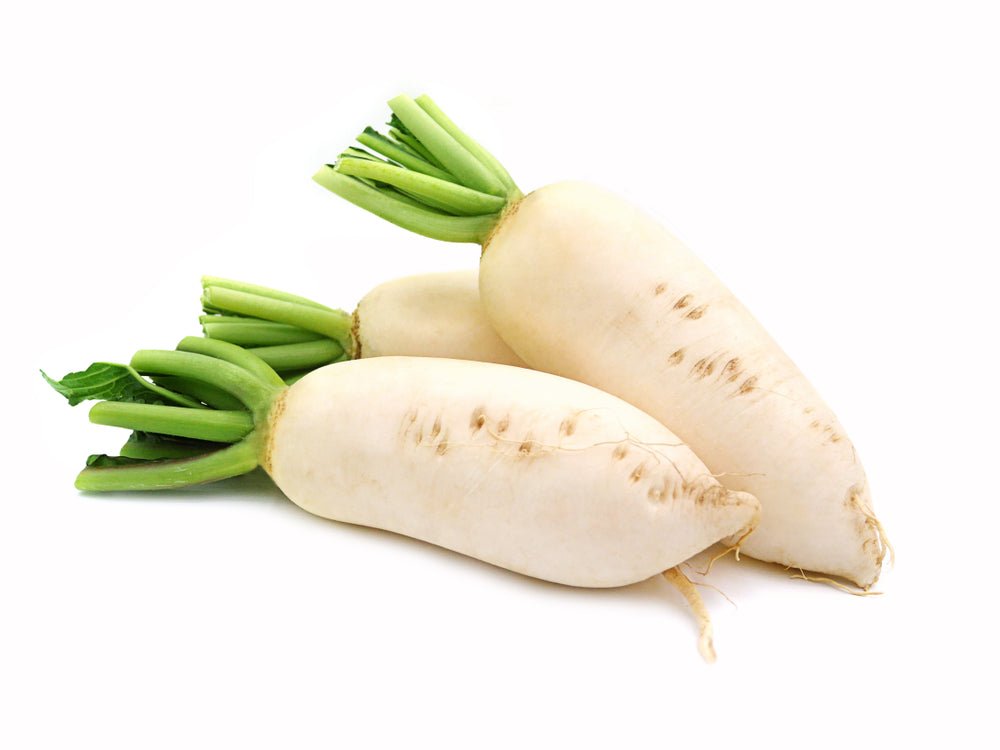 Radish, Diakon (Lo Bok) EACH - Mr. Leafy