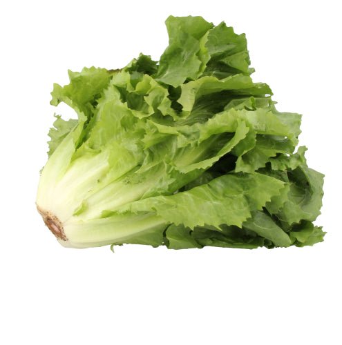 Escarole, - Mr. Leafy