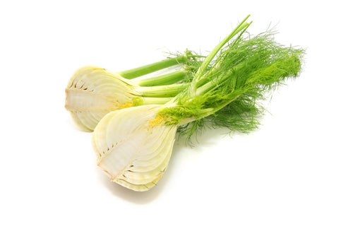 Fennel, (Anise) - Mr. Leafy