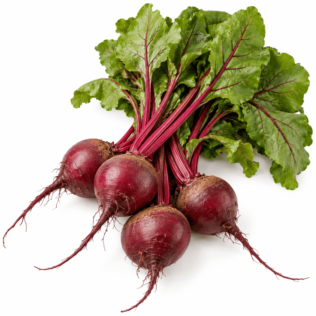 Fresh Bunched Red Beets | Mr. Leafy - Mr. Leafy