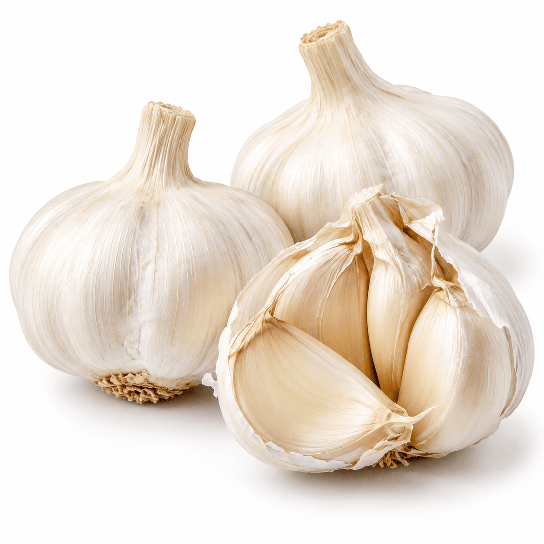 Fresh Jumbo Garlic – Bold & Aromatic, Each - Mr. Leafy
