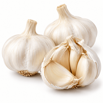 Fresh Jumbo Garlic – Bold & Aromatic, Each - Mr. Leafy