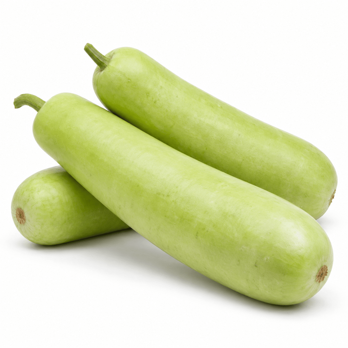 Fresh Long Squash – Mild & Versatile Each - Mr. Leafy