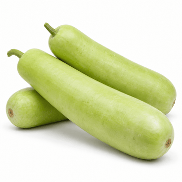 Fresh Long Squash – Mild & Versatile Each - Mr. Leafy