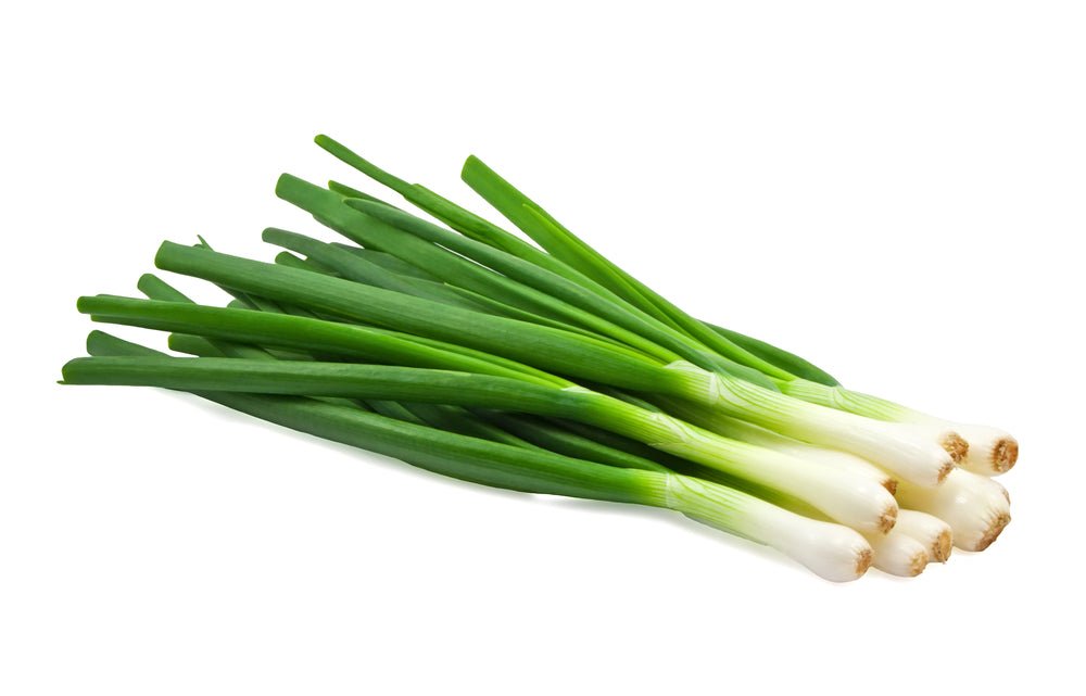 Onion, Green (Scallion) PER BUNCH - Mr. Leafy