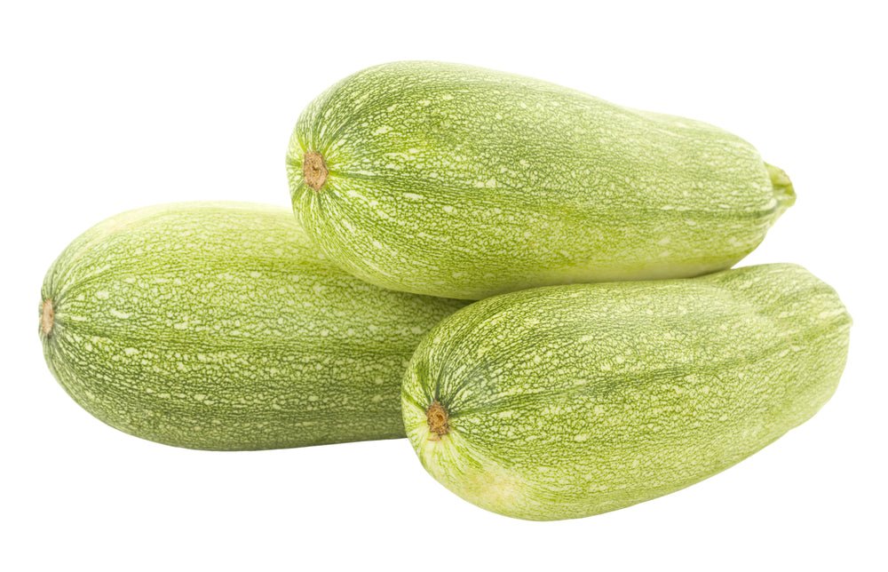 Squash, Zucchini Grey Mexican - Mr. Leafy