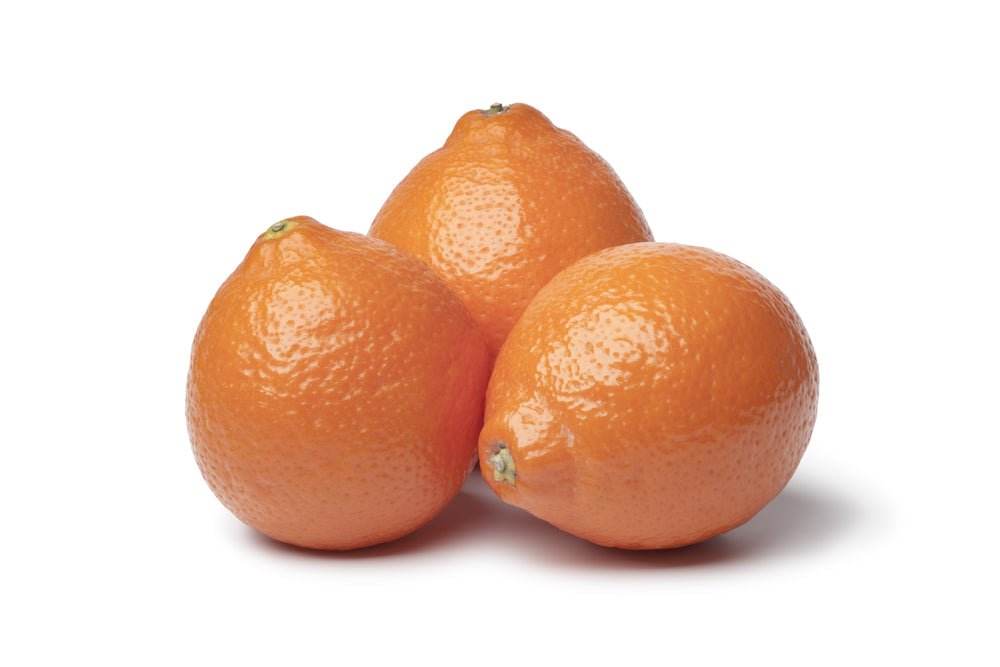Honeybell, Orange EACH - Mr. Leafy