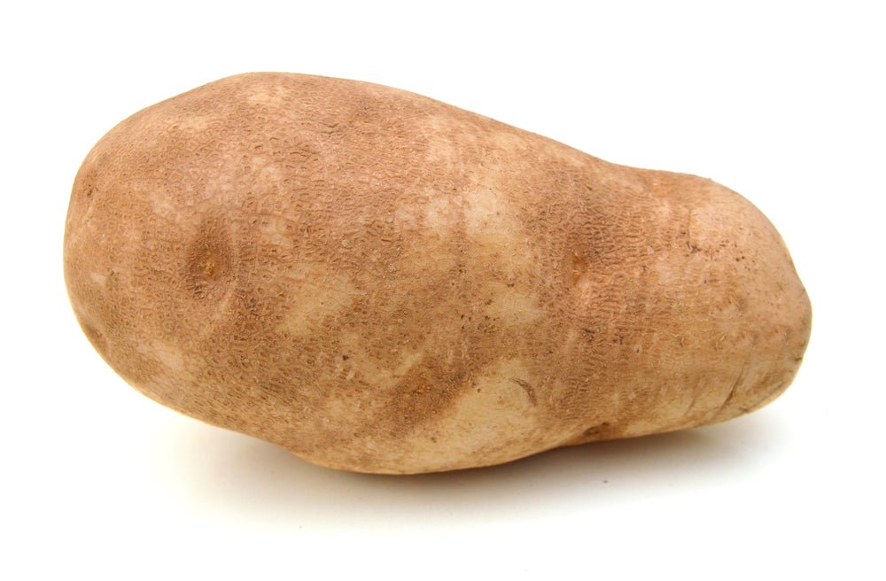 Potato, Russet Baker 16oz - Mr. Leafy