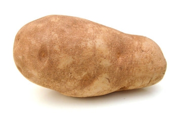 Potato, Russet Baker 16oz - Mr. Leafy