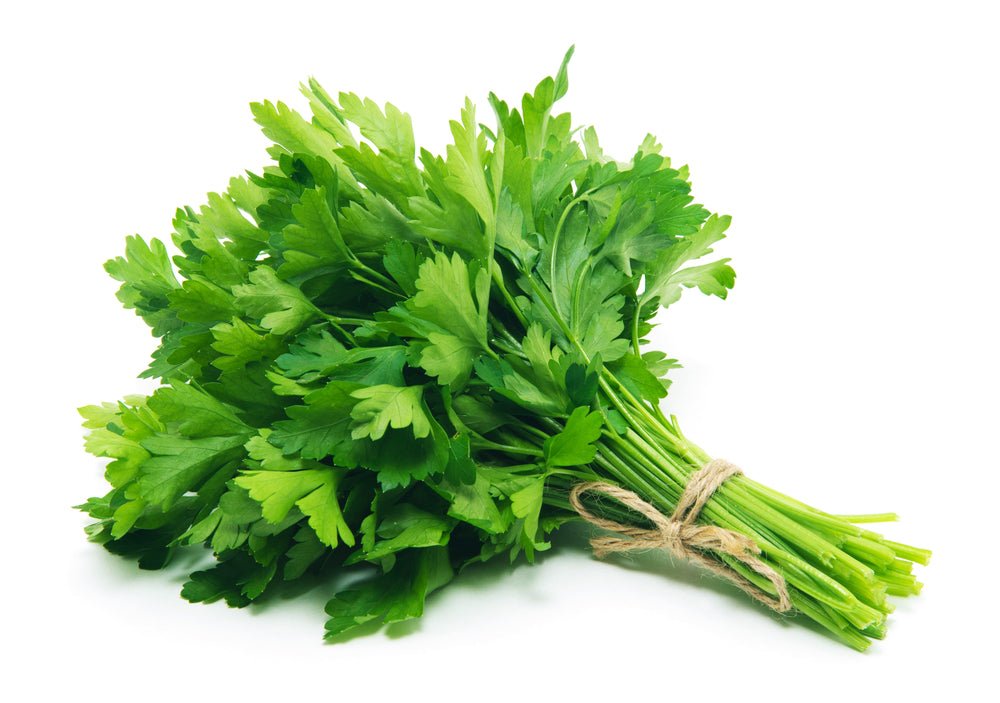 Parsley, Italian PER BUNCH - Mr. Leafy