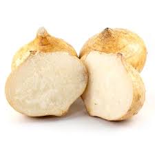 Jicama Root EACH - Mr. Leafy