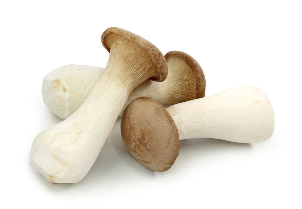 Mushroom, King Oyster 300g - Mr. Leafy