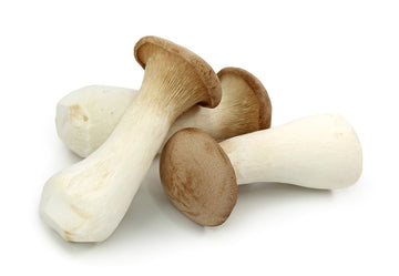 Mushroom, King Oyster 300g - Mr. Leafy