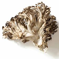 Maitake Mushroom 100g - Mr. Leafy