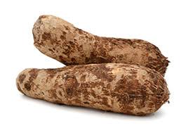 Malanga, Blanca 3lb PACK - Mr. Leafy
