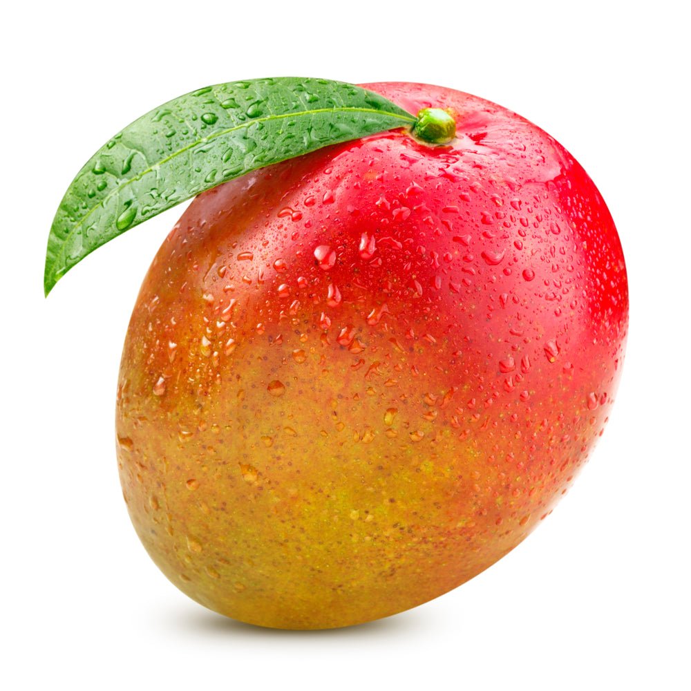 Mango, Tommy/Kent EACH - Mr. Leafy