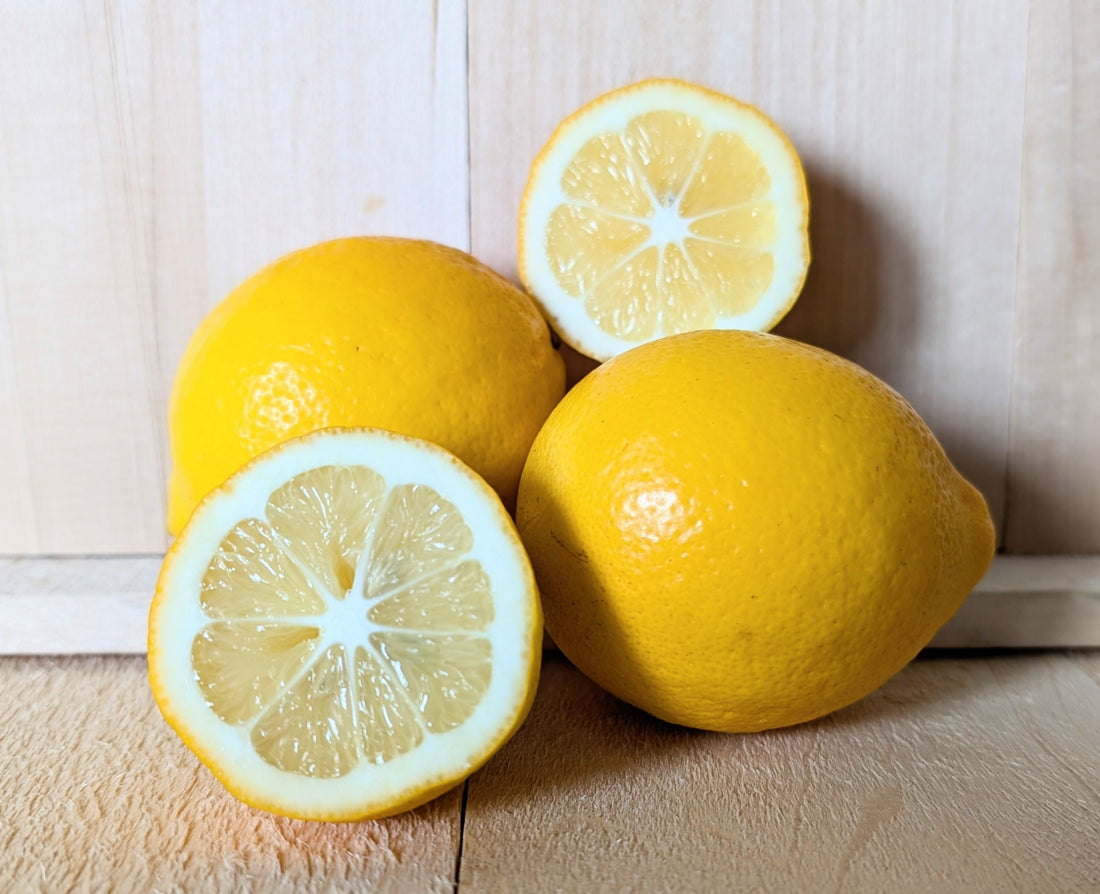 Lemon, Meyer 1lb BAG - Mr. Leafy