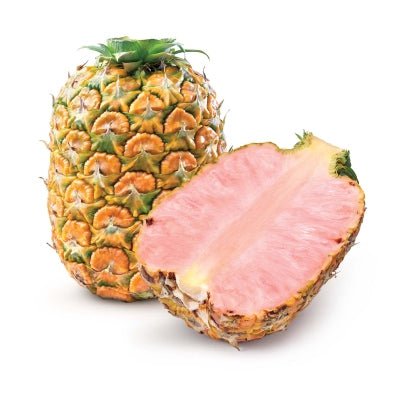Pineapple, Pink - Mr. Leafy