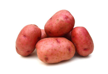 Potato, Red 8oz - Mr. Leafy