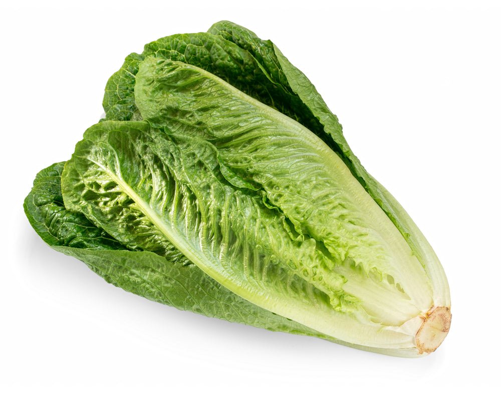 Lettuce, Romaine EACH - Mr. Leafy