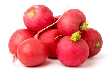 Radish, Red 6oz - Mr. Leafy