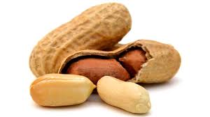 Peanut, Raw 25lb - Mr. Leafy