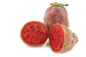 Pear, Cactus/ Prickly 3 Count - Mr. Leafy