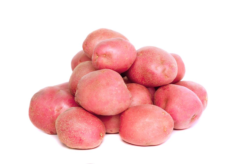 Potato, Creamer Red 8oz - Mr. Leafy