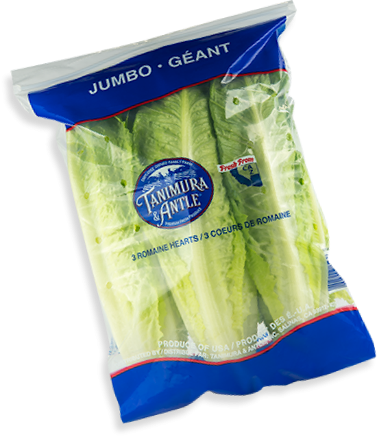 Lettuce, Romaine Hearts 3ct - Mr. Leafy