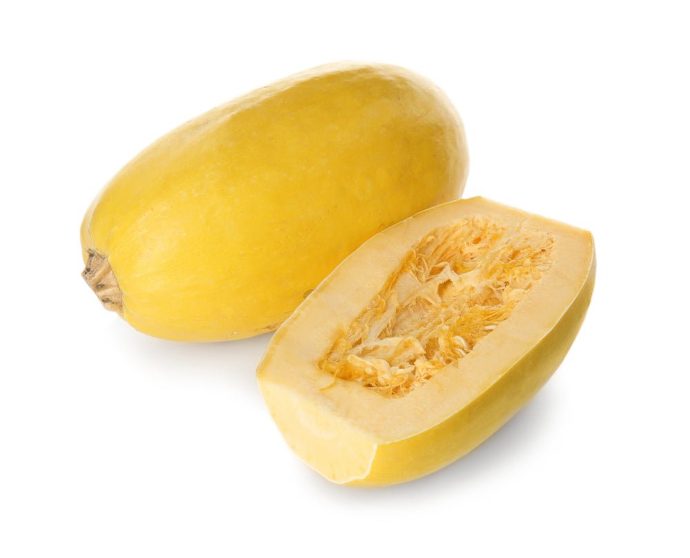 Squash, Spaghetti - Mr. Leafy