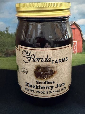 Seedless Blackberry Jam - Mr. Leafy