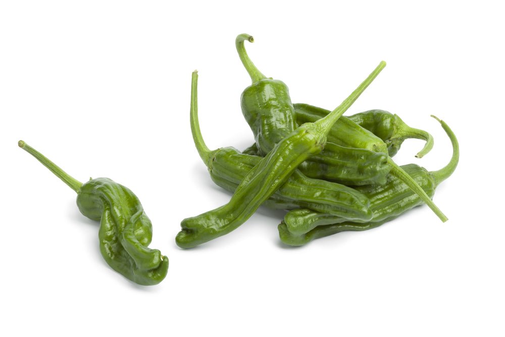 Pepper, Shishito 4oz - Mr. Leafy