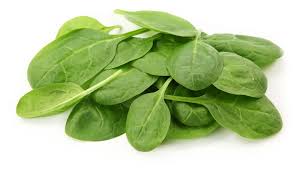 Spinach, 10oz - Mr. Leafy