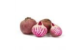 Beets, Stripped PRICED PER LB. - Mr. Leafy