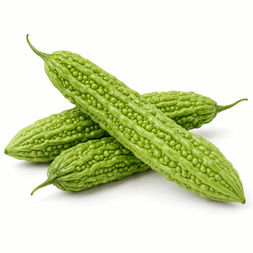 Fresh Chinese Bitter Melon – Crisp & Distinctive 1 lb - Mr. Leafy