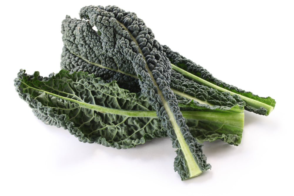 Kale, Green Tuscan PER BUNCH - Mr. Leafy