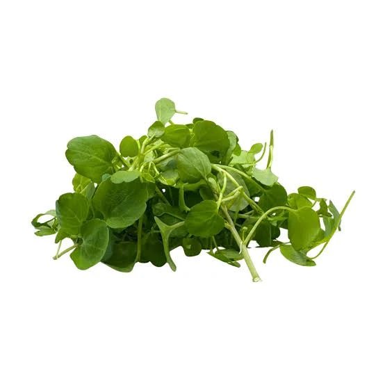 Watercress, 4oz Bag - Mr. Leafy