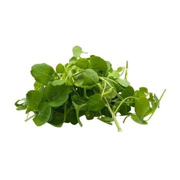 Watercress, 4oz Bag - Mr. Leafy