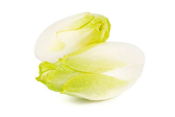 Endive, Belgium White 2 Count - Mr. Leafy